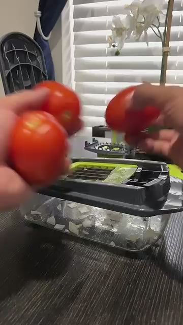 Vegetable Cutter Chopper and Slicer